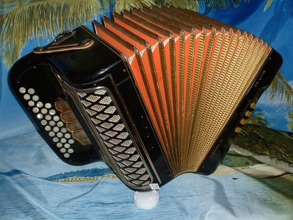 Avenda concertina n.62