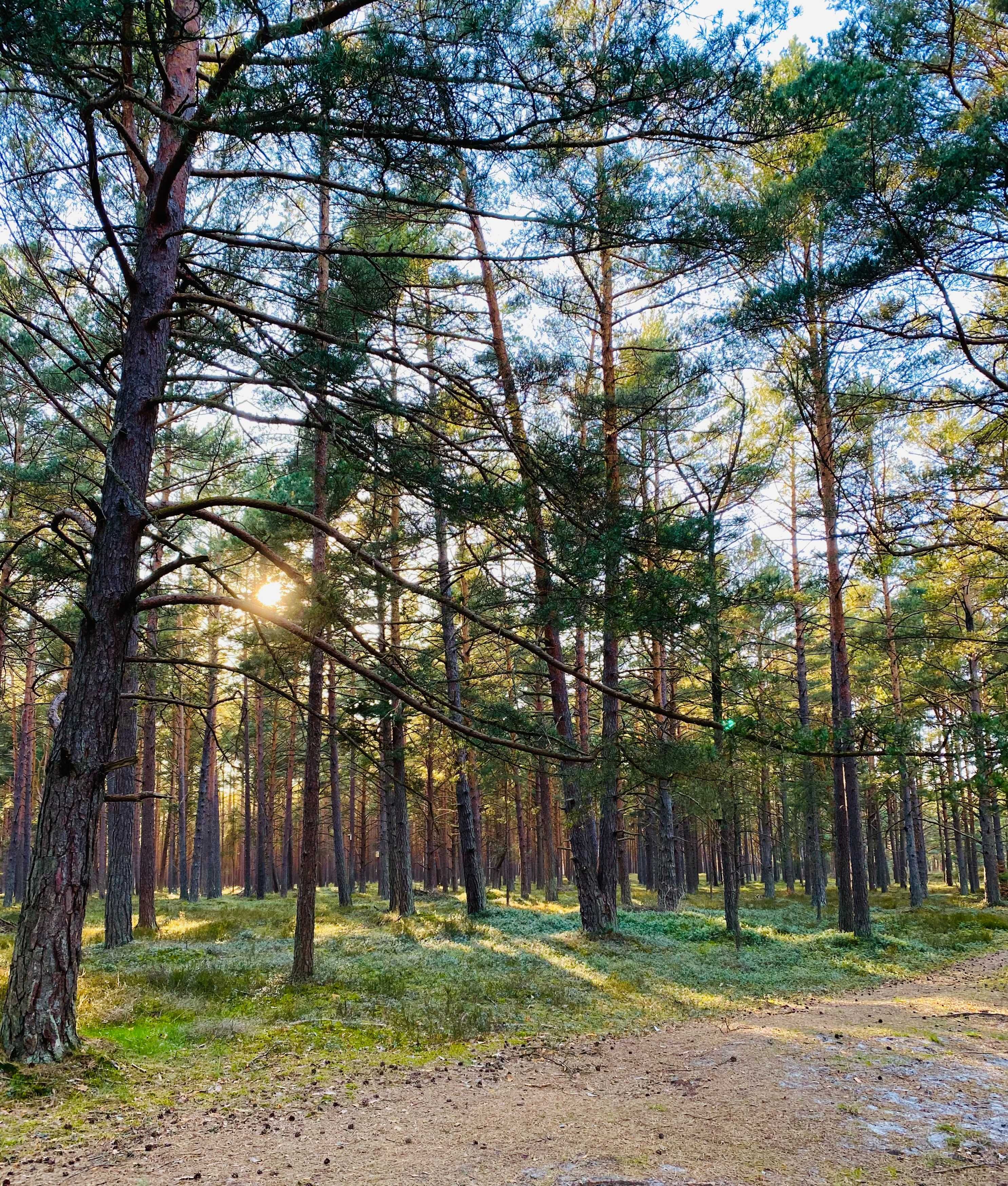 Domki nad morzem, komfortowe i w pełni wyposażone, Lubiatowo, Kopalino