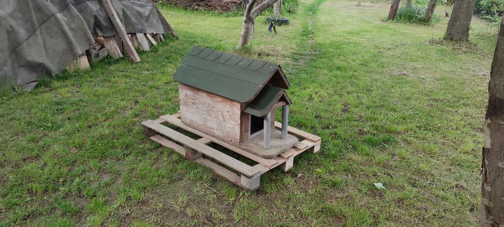 Buda dla średniego psa