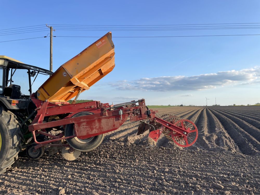 Sadzarka Structural Miedema 2x75cm 1999r. Formownica Koszowa Grimme