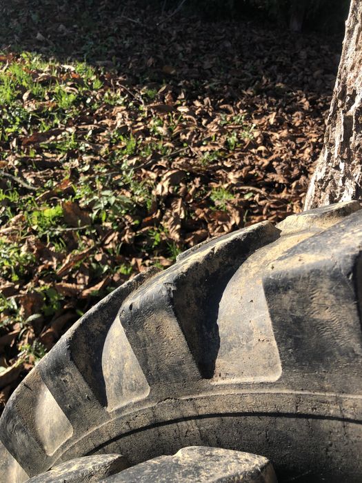 Opony 8.25-20 firmy WINI