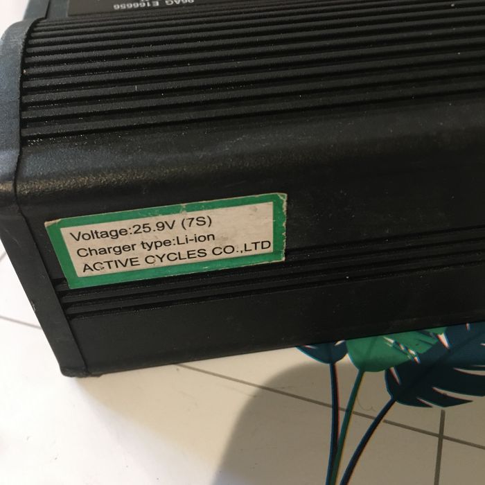 Rower elektryczny ładowarka na 24v