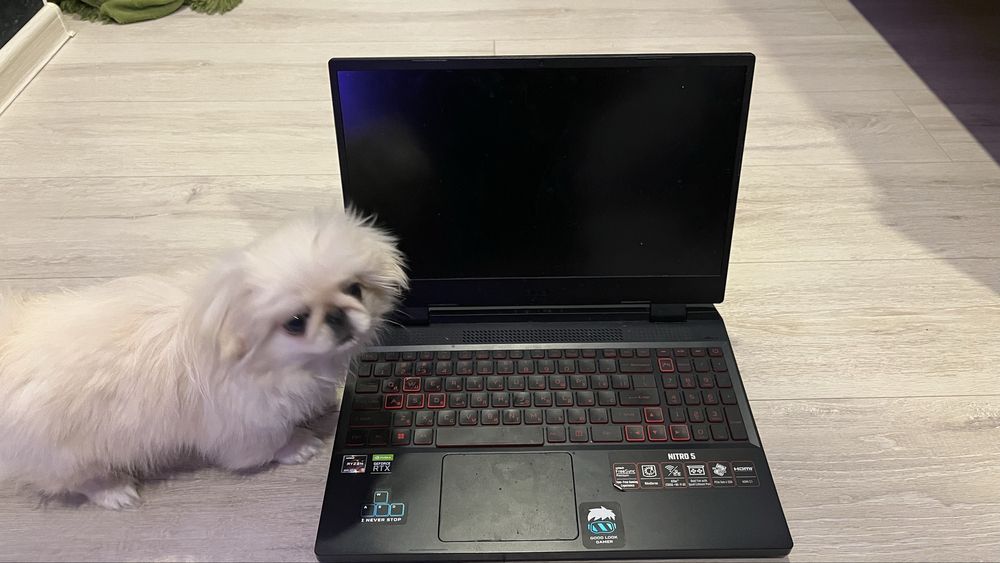 Acer nitro 5 на запчастини