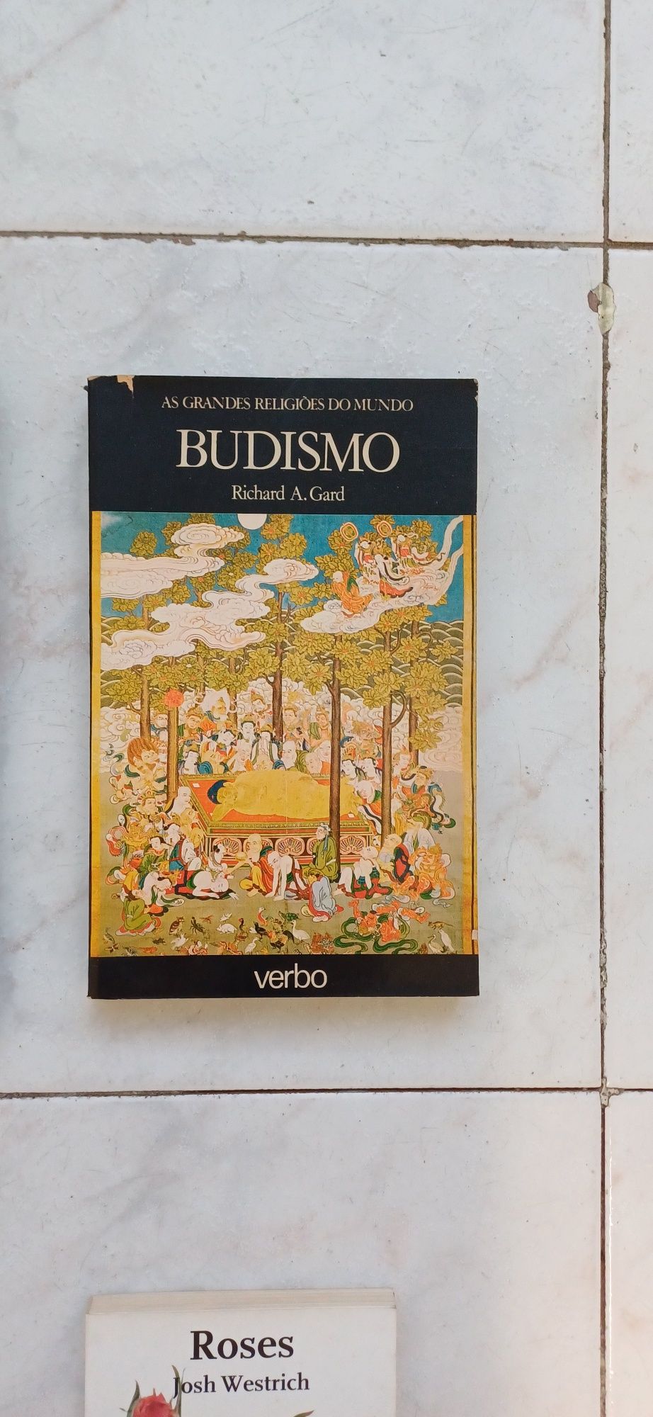 Budismo Livro Raro