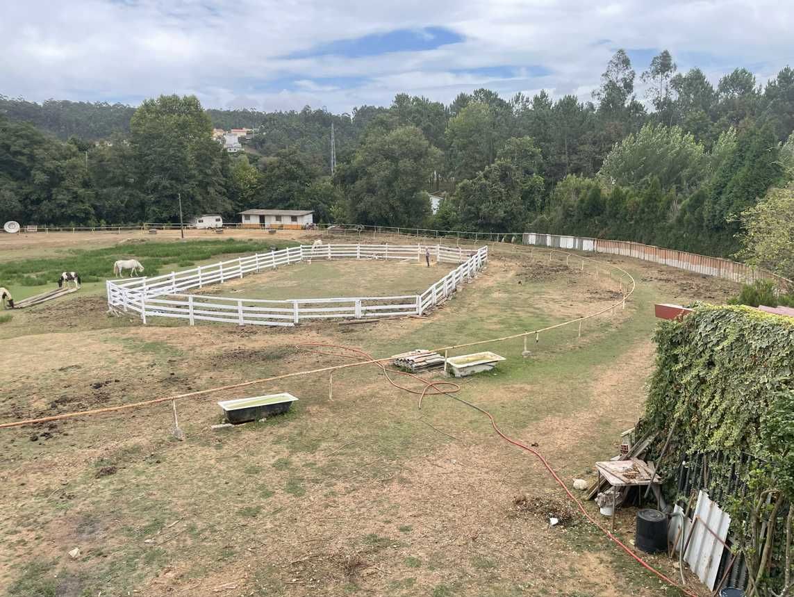 Terreno com boxes para cavalos