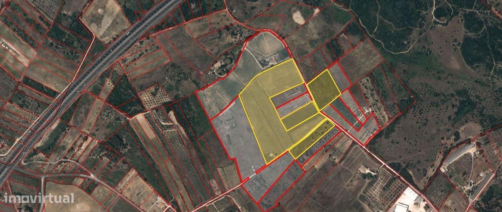 Quinta vitícola no Cartaxo - região DOC Tejo - Santarém