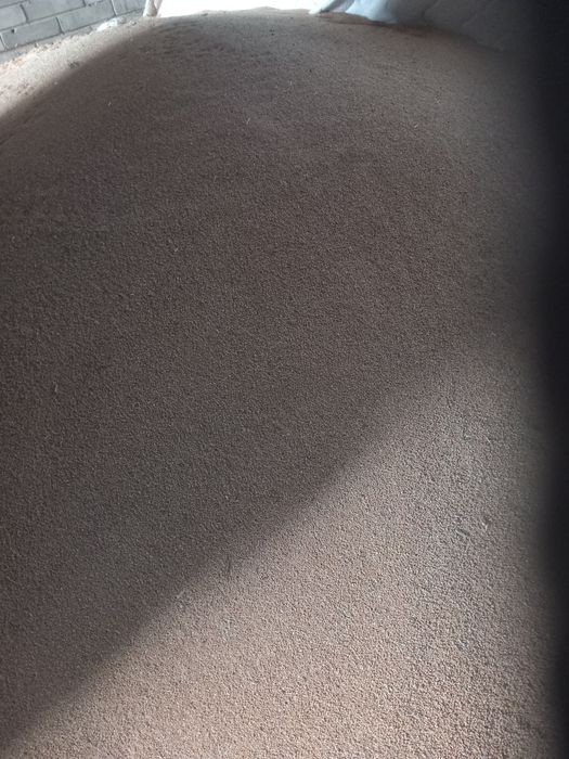 Sprzedam ładne proso.
