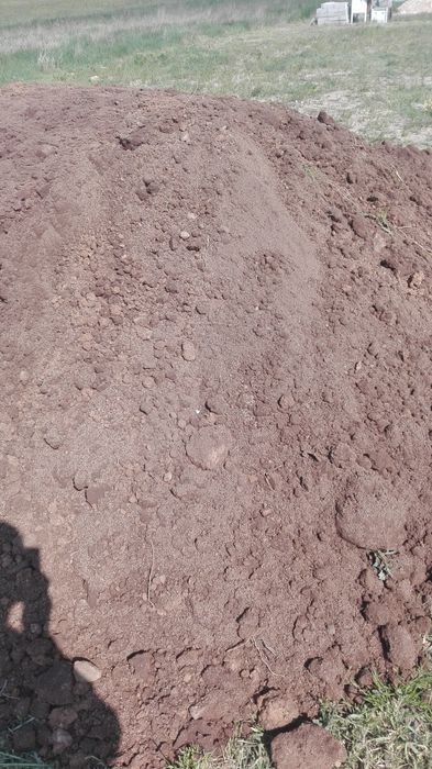 Ziemia ziemia piaszczysta