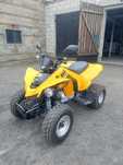 Quad Can AM ds 250