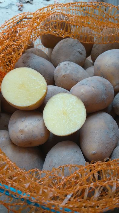 Ziemniaki Soraja kaliber 35/45