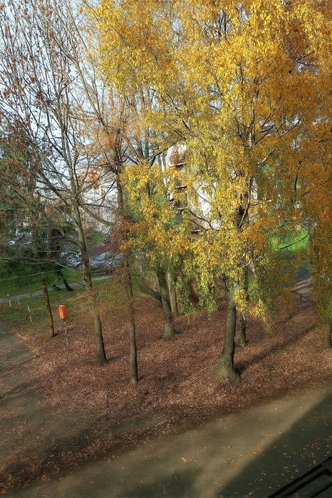 Mieszkanie na sprzedaż – Sierpc, ul. Witosa