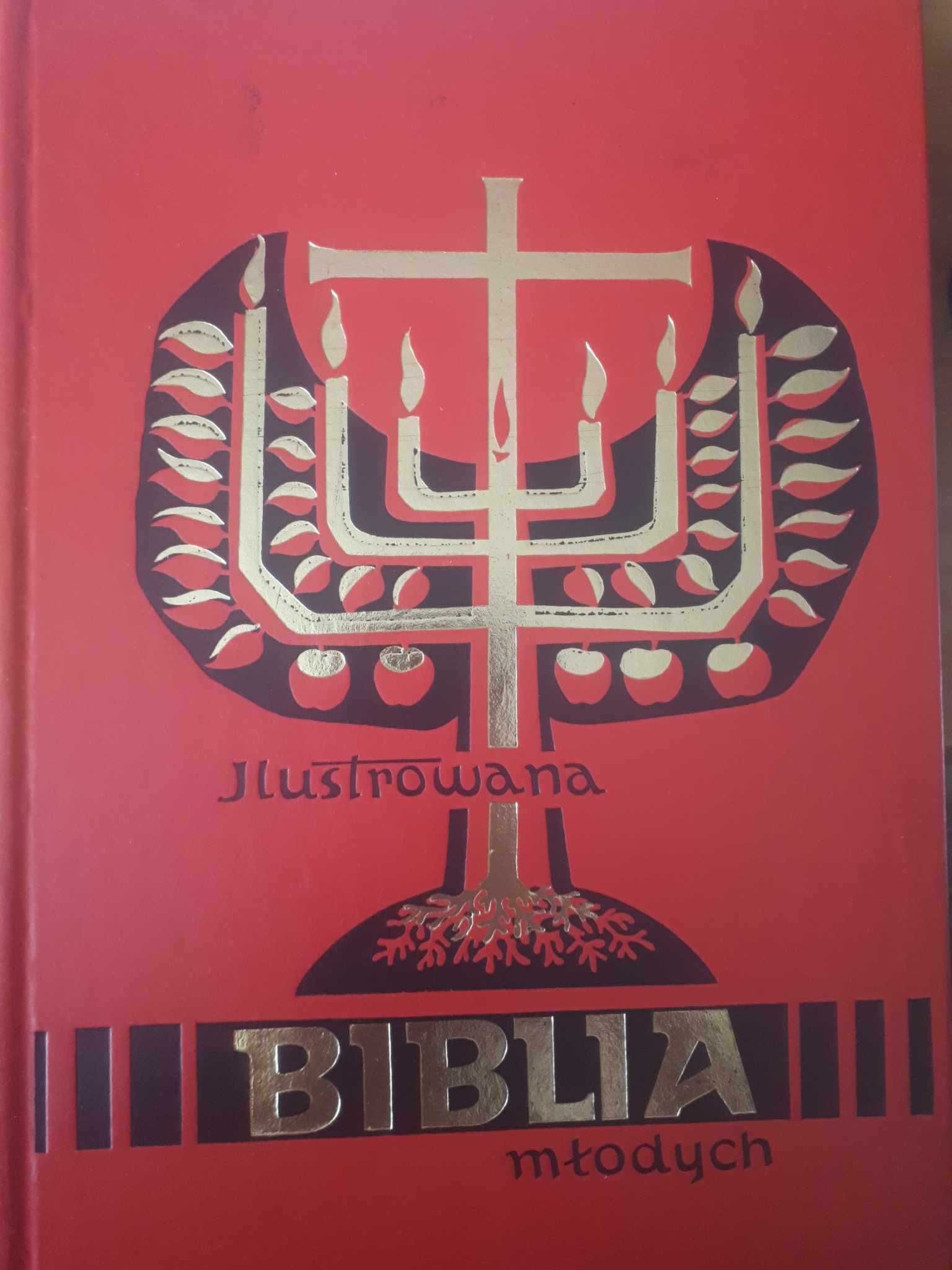 ilustrowana Biblia młodych 1991