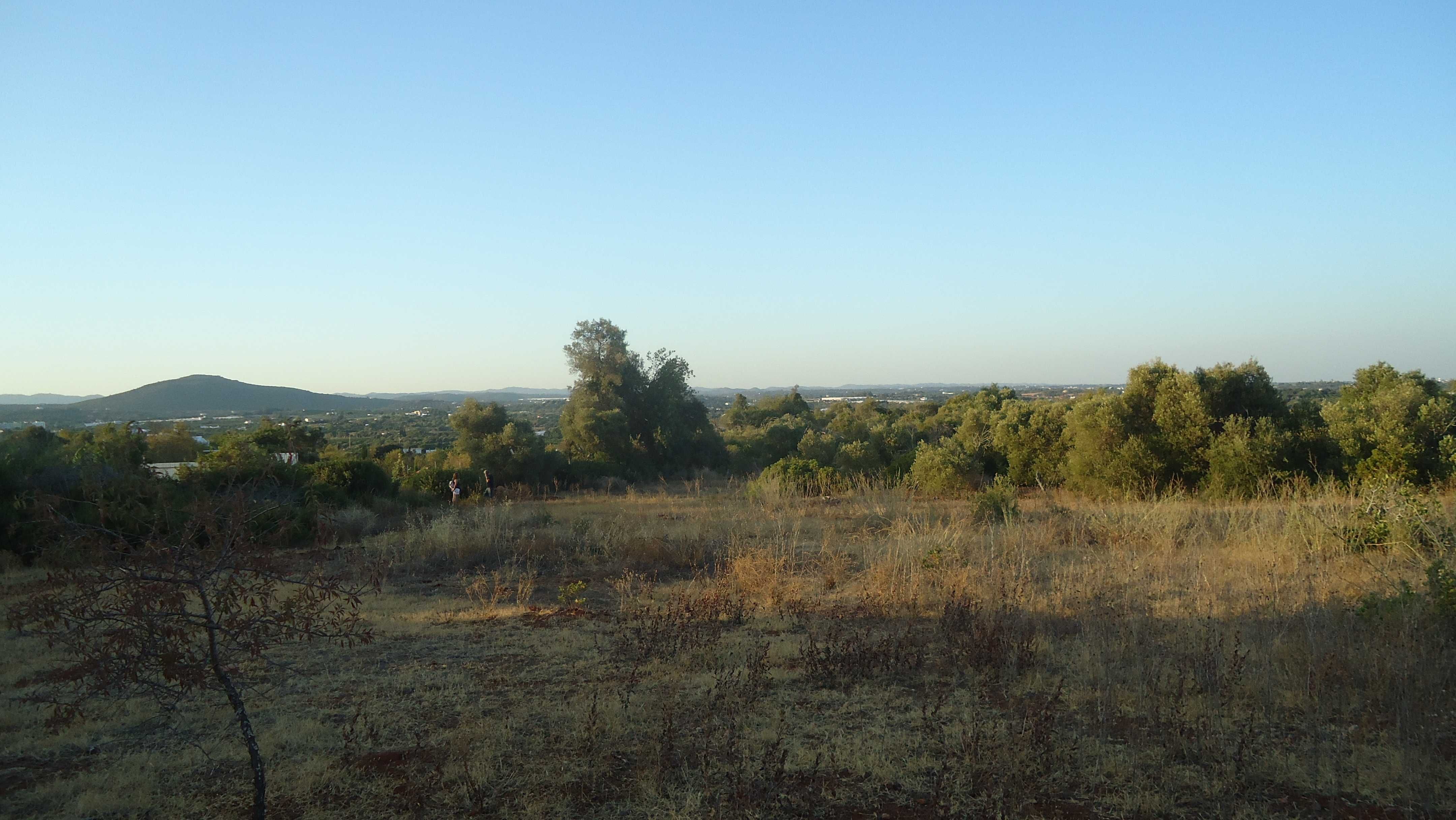 Algarve - Terreno próximo da praia Fuseta