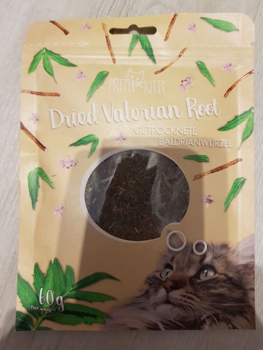 Waleriana kozłek lekarski dla kota