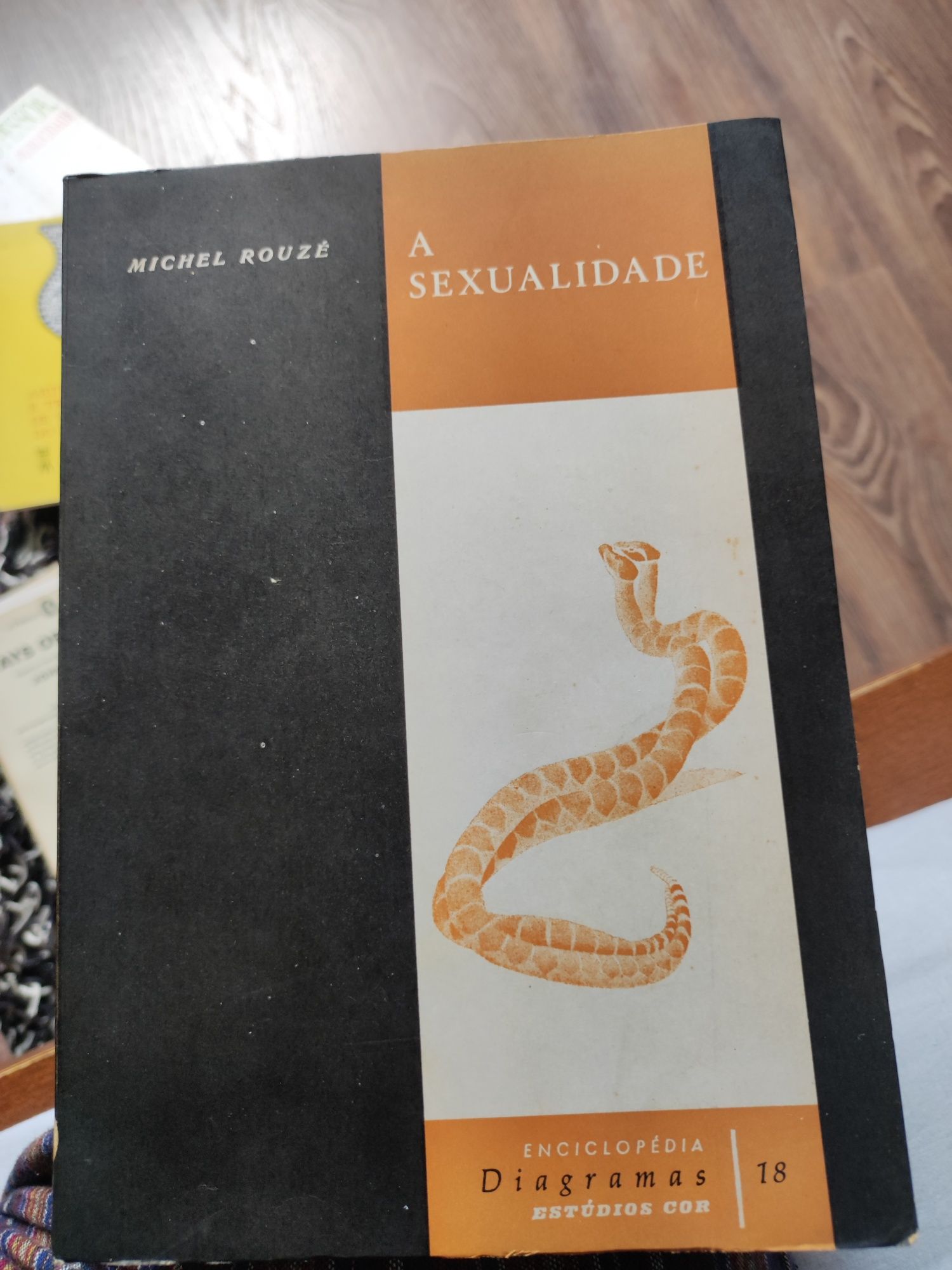 A sexualidade - Michel Rouzé