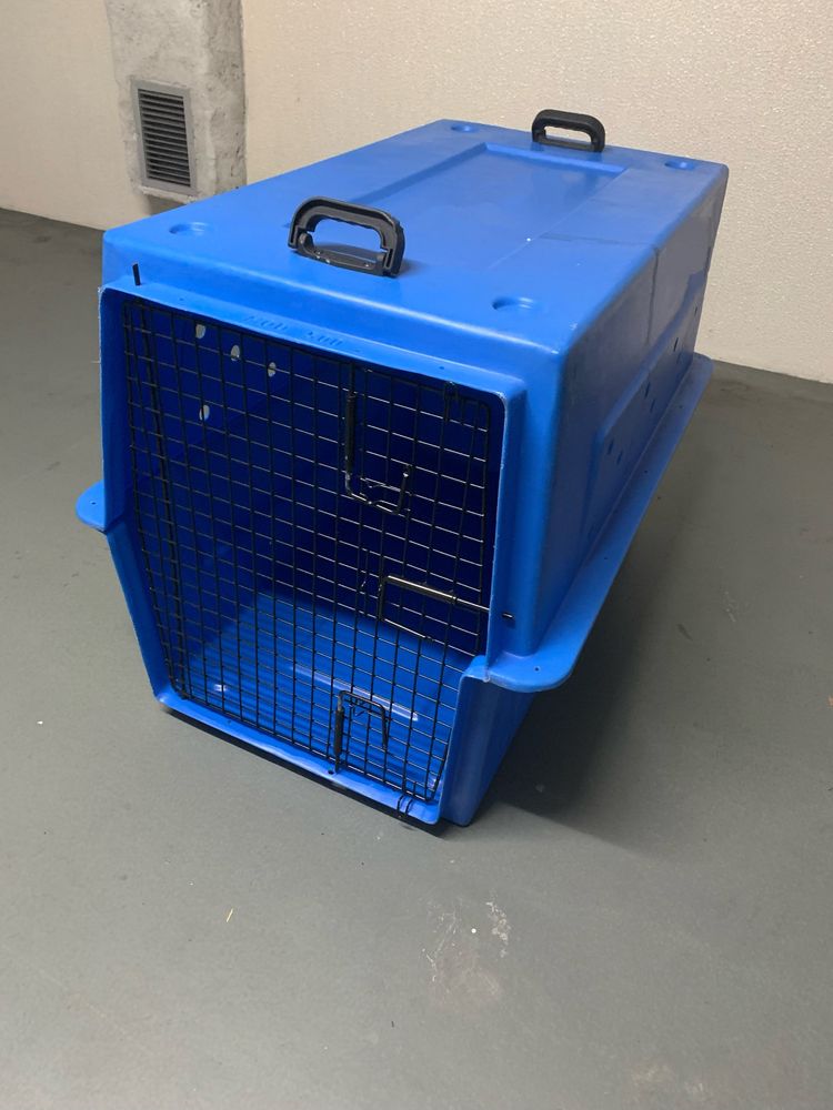 Caixa de transporte para cães e gatos - PET TOUR