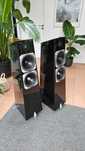 Totem Acoustic Element Earth Hi-end dla prawdziwych koneserów dźwięku.
