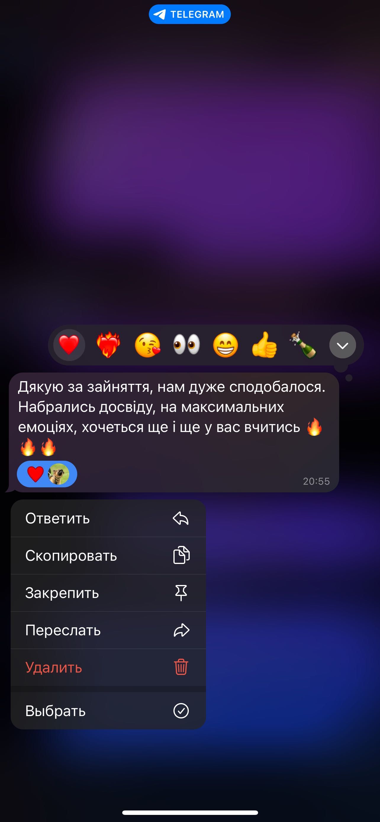 Кінолог | Дресирування собак | Львів