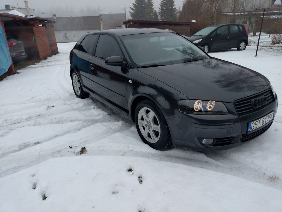 Audi A3 8p 2003 Diesel
