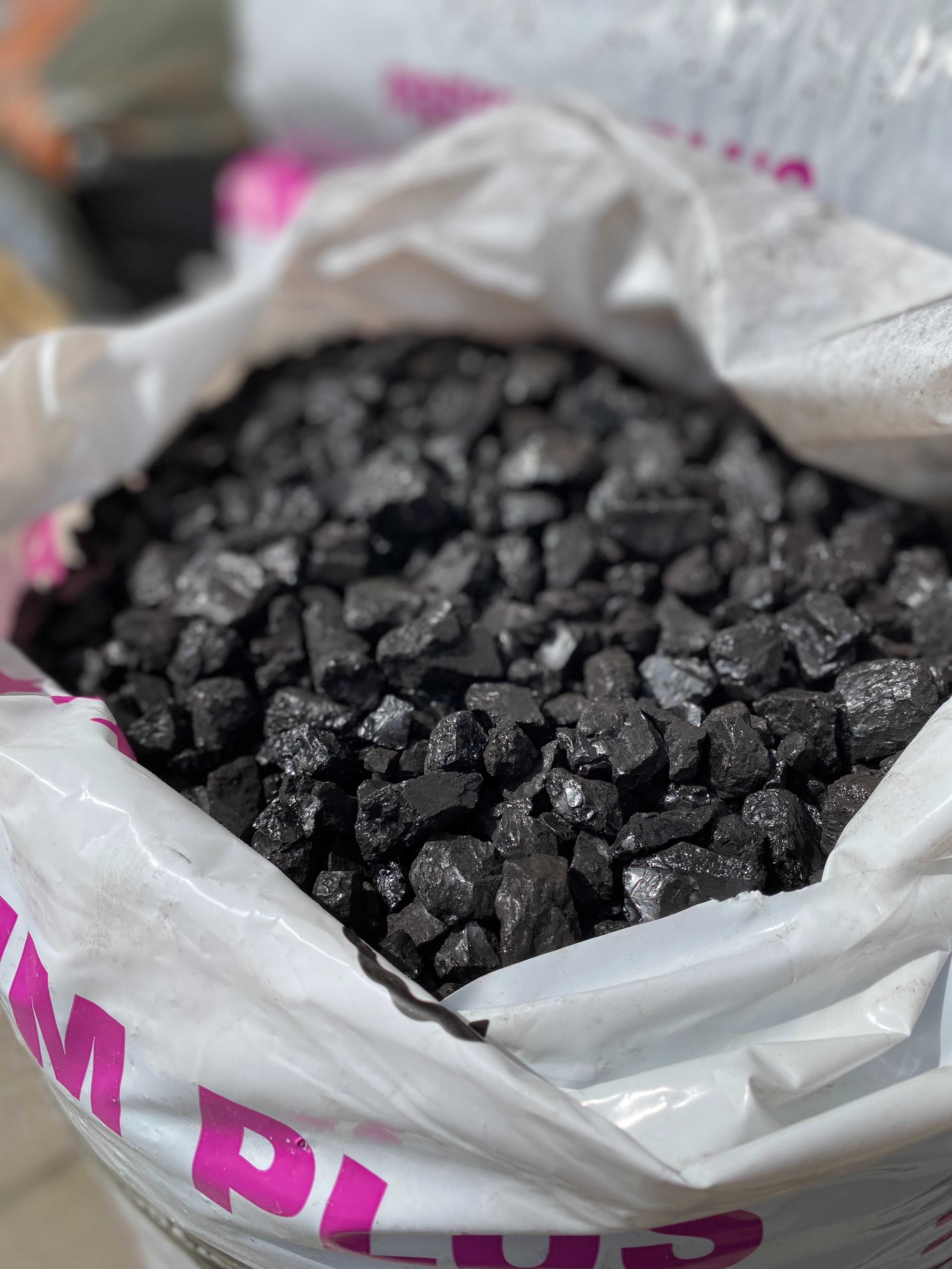 Groszek Premium Plus NR 1 W POLSCE 28 MJ/kg suchy i błyszczący węgiel