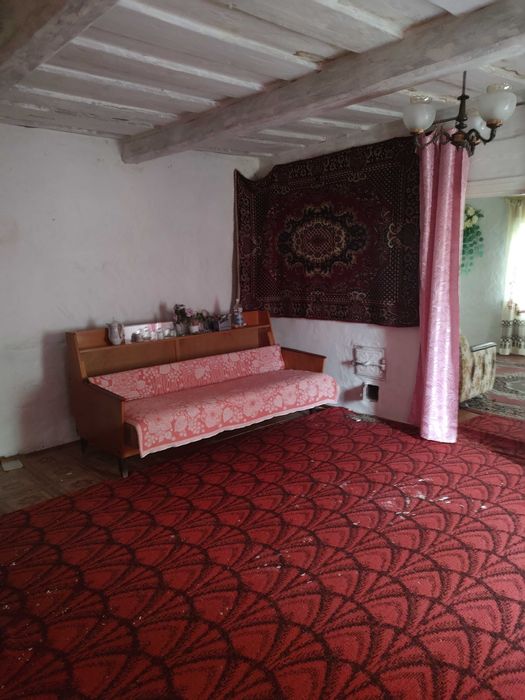 Будинок в селі Волошине, Коростенського району