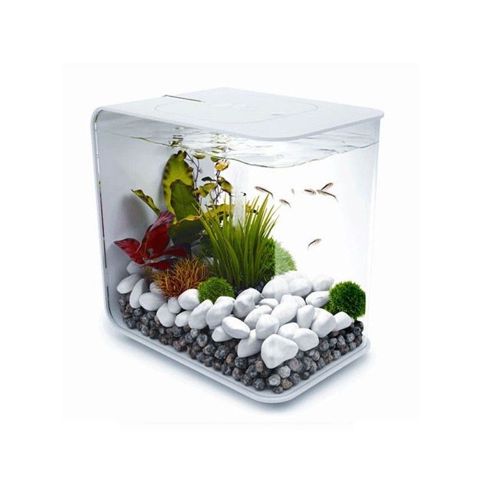 Aquário biorb flow 30L + kit decoração