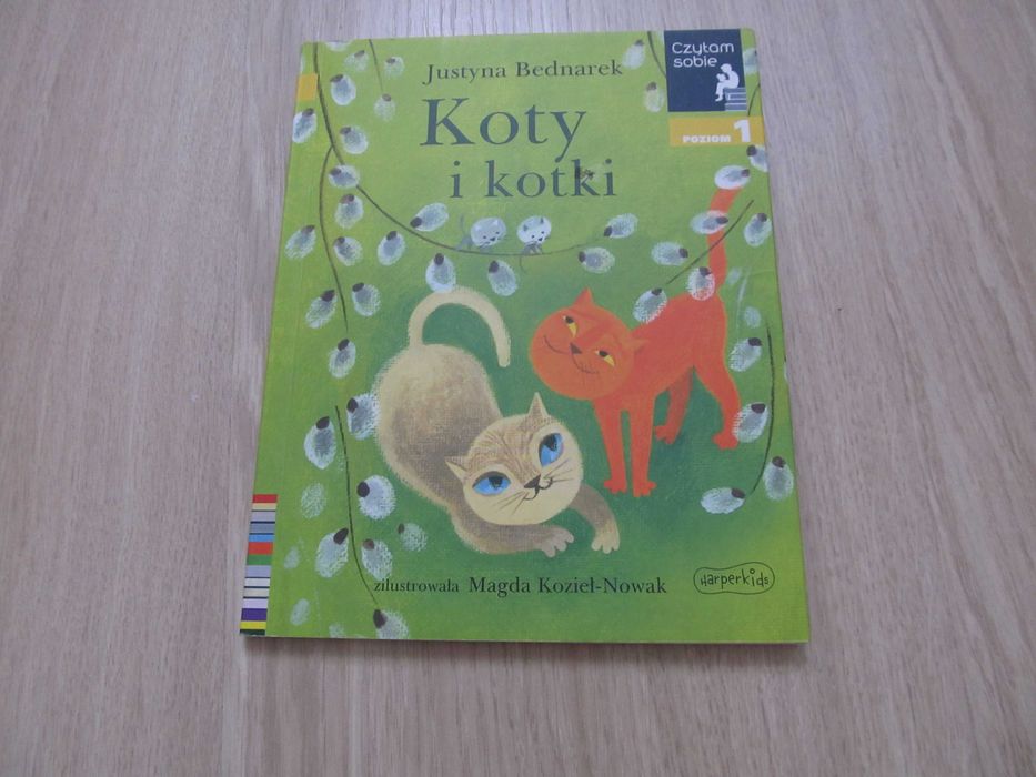 ,,Koty i kotki", Justyna Bednarek, wydawnictwo ,,Czytam sobie"