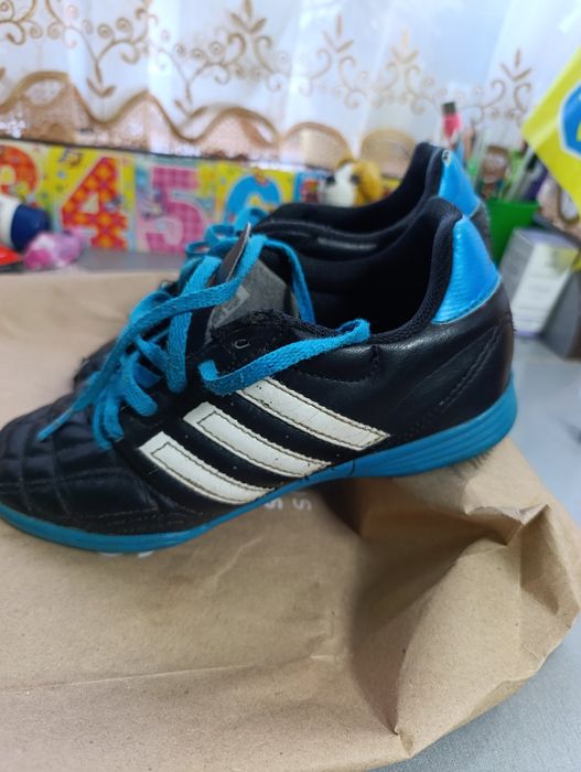 Сороконіжки  ...