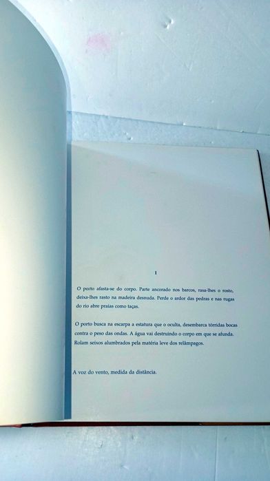 O Tejo - Margens e Memória