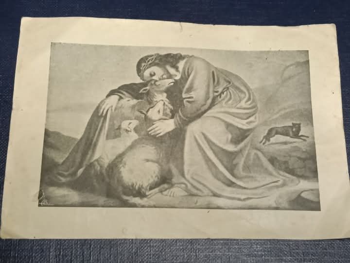 Bela pagela antiga (13,5x6,5)