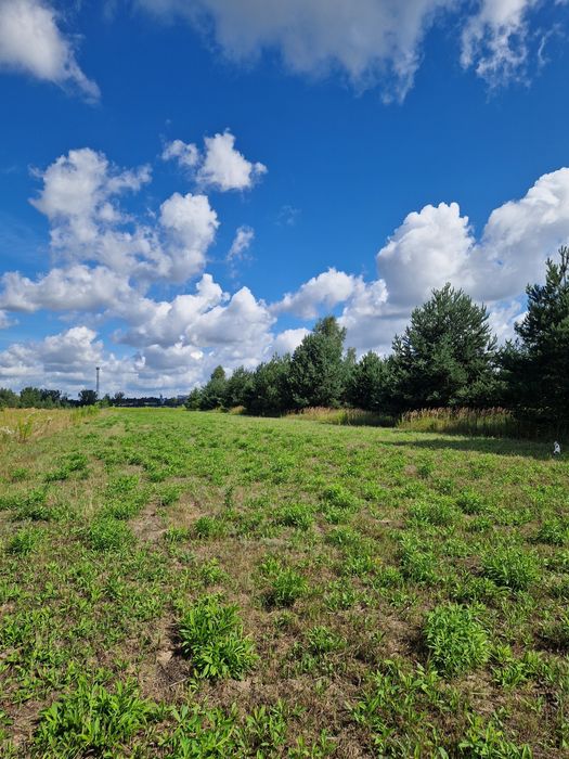 Sprzedam Działki budowlane w  Niemce
