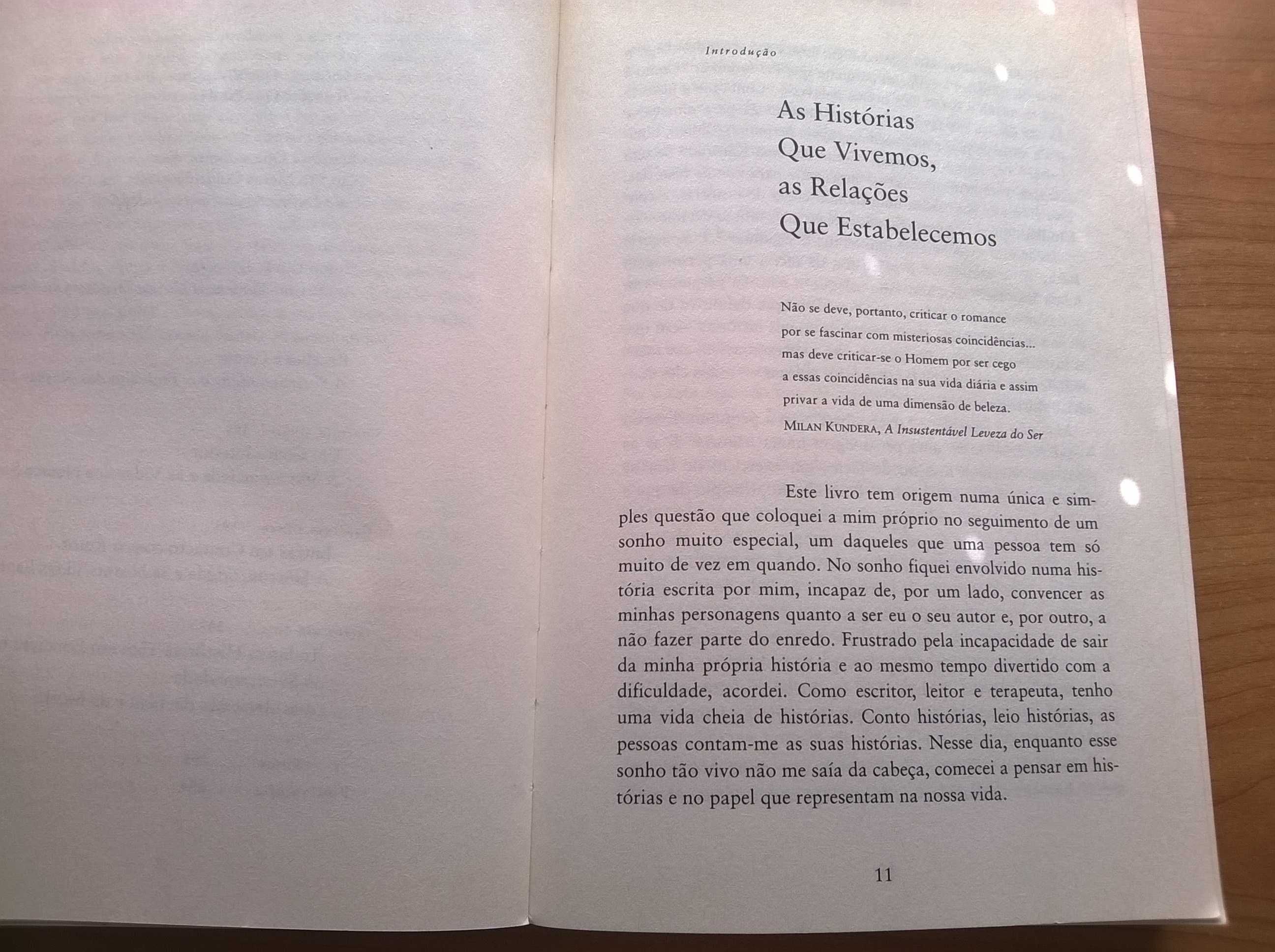 Não há Acasos - Robert H. Hopcke