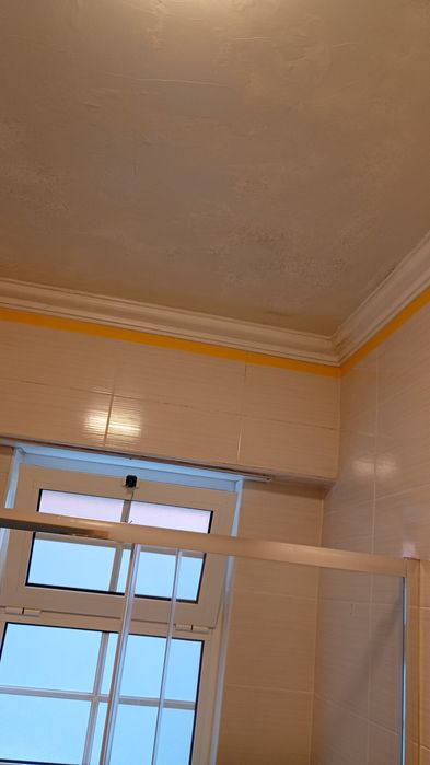 Pintor profissional