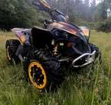 Can am 800 renegade