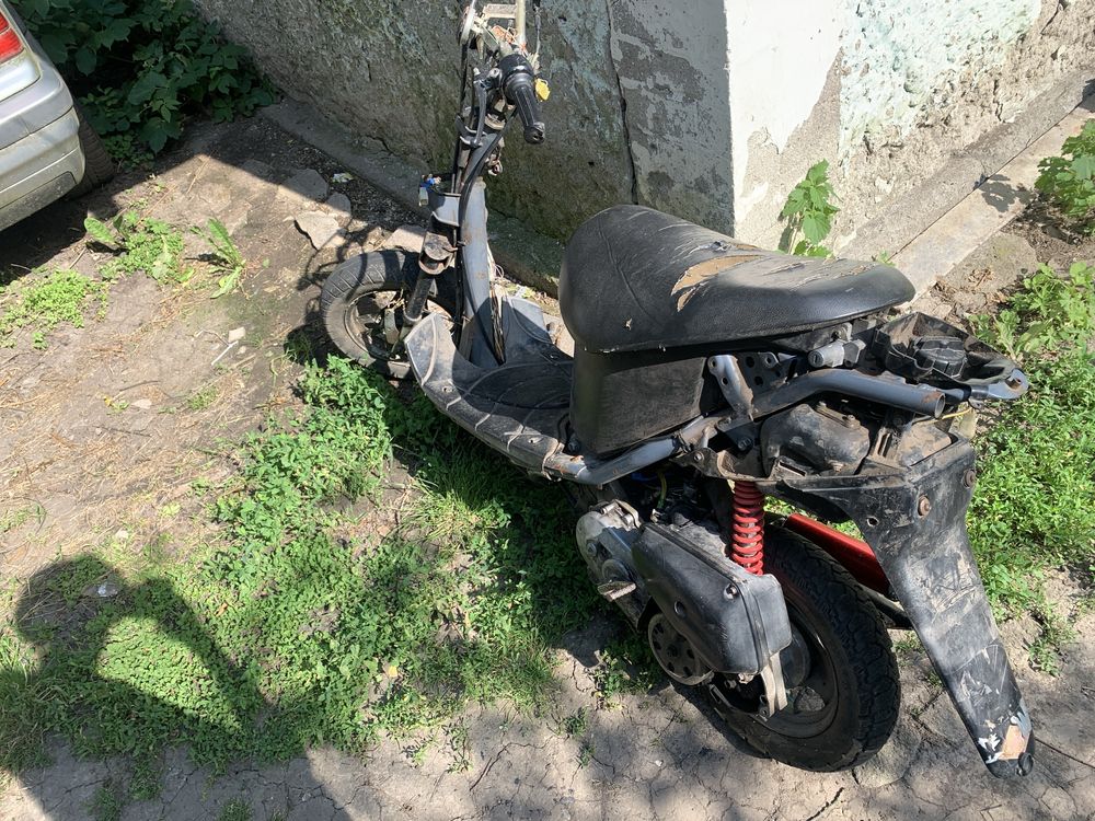 suzuki lets 1