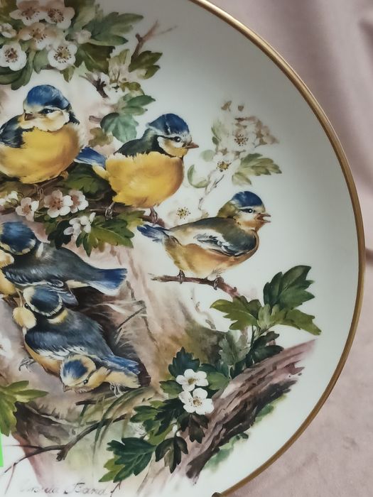 Hutschenreuther Ursula Band bradex kolekcjonerski ptaki