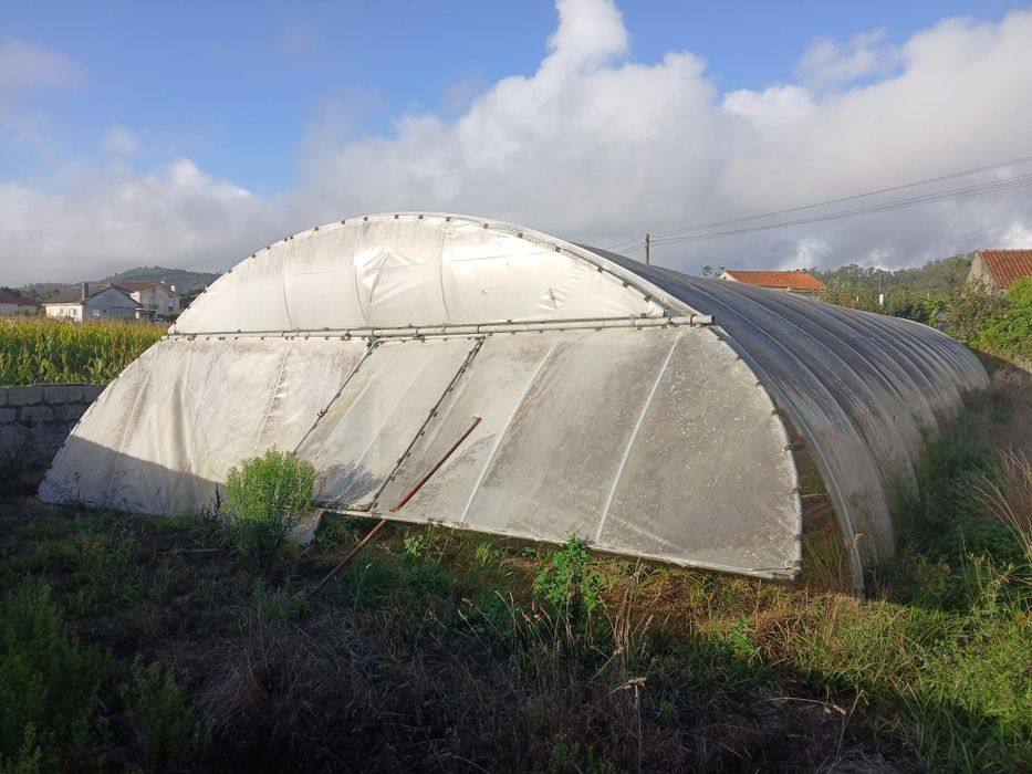Estufas agrícolas