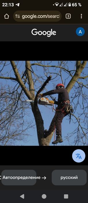 Обрізка дерев та гілок