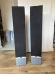 Dali ikon 6 black asch
