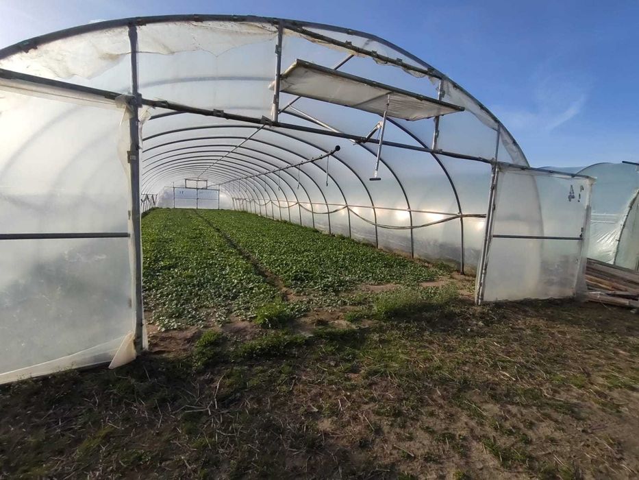 Ocynkowana konstrukcja tunelu foliowego 7,5x30x3m używana