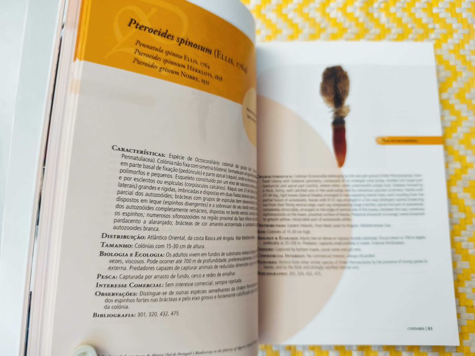 Biodiversidade nas pescas do Algarve – 
Coord. Teresa Silveira Borges