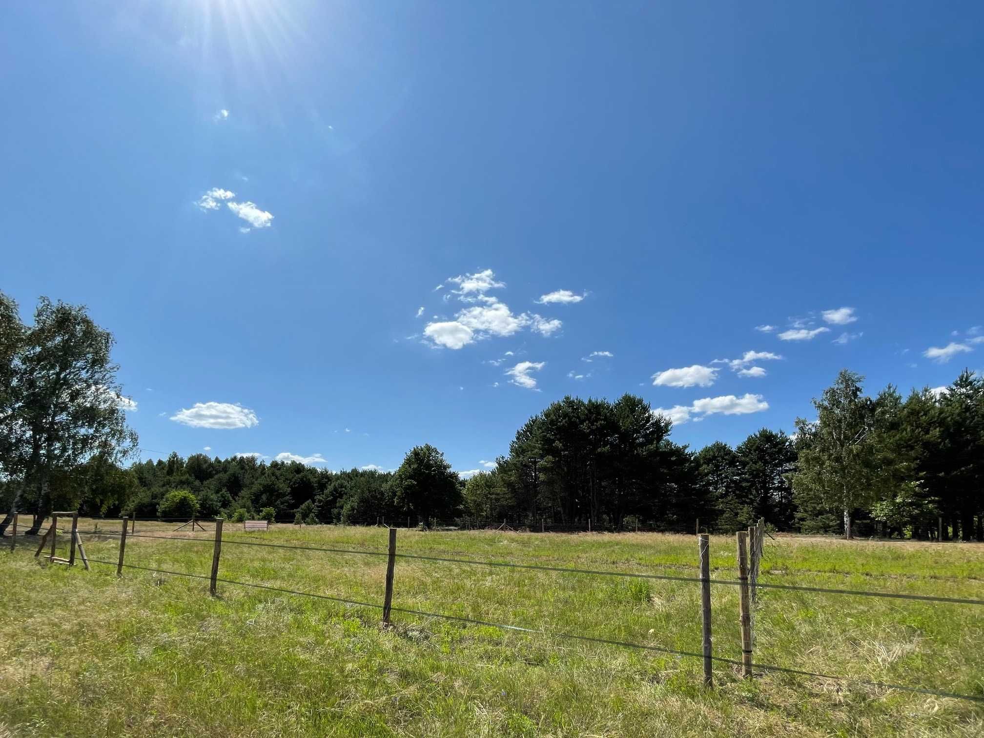 Działka budowlana ogrodzona prąd 971m2 pojedyncze WZ dojazd asfaltowy