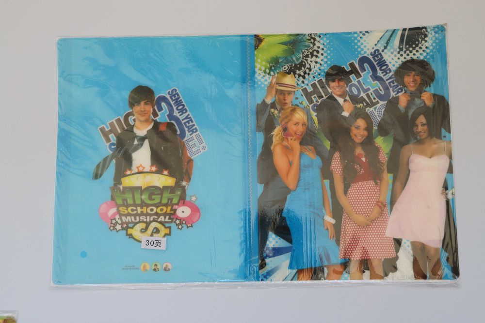 Папка органайзер А4 с 30-ю файлами