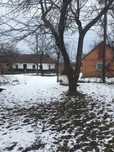 Продам землю з яблуневим садом 60 сотих