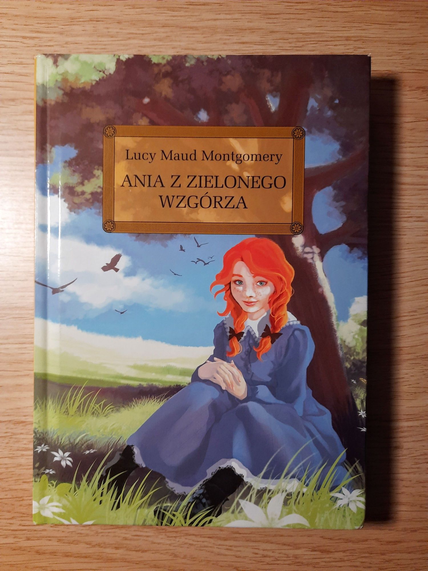 Ania z Zielonego Wzgórza Lucy Maud Montgomery Greg