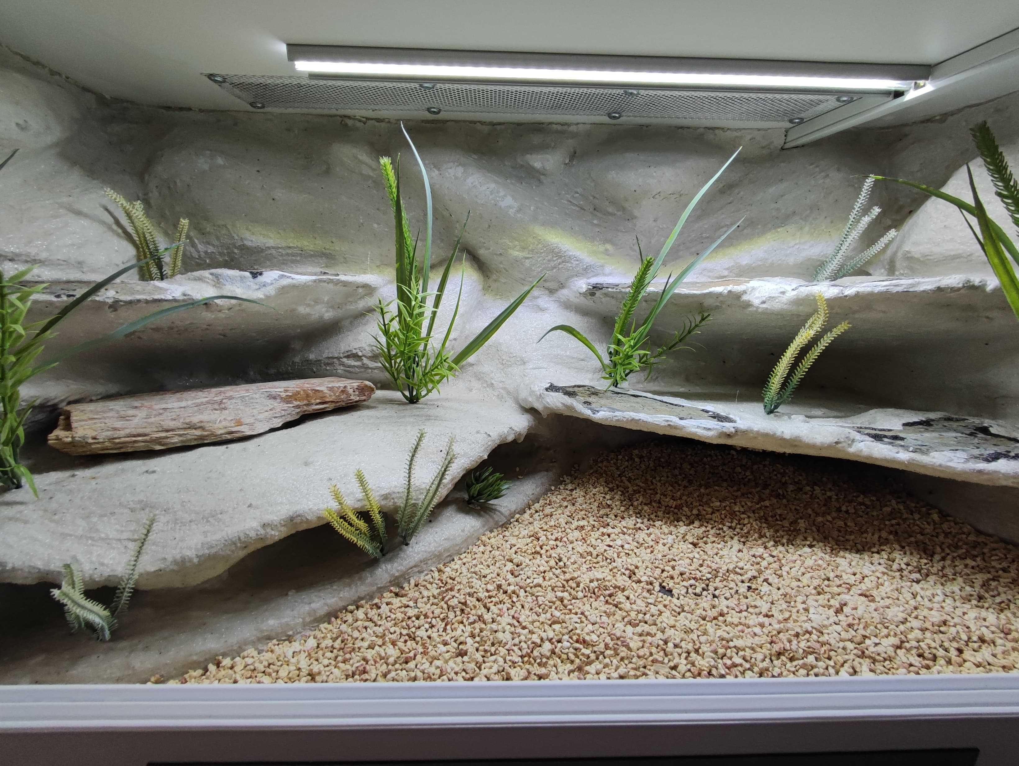 Terrarium pustynne nr743 80/40/40 dla gekonów lamparcich DOSTĘPNE