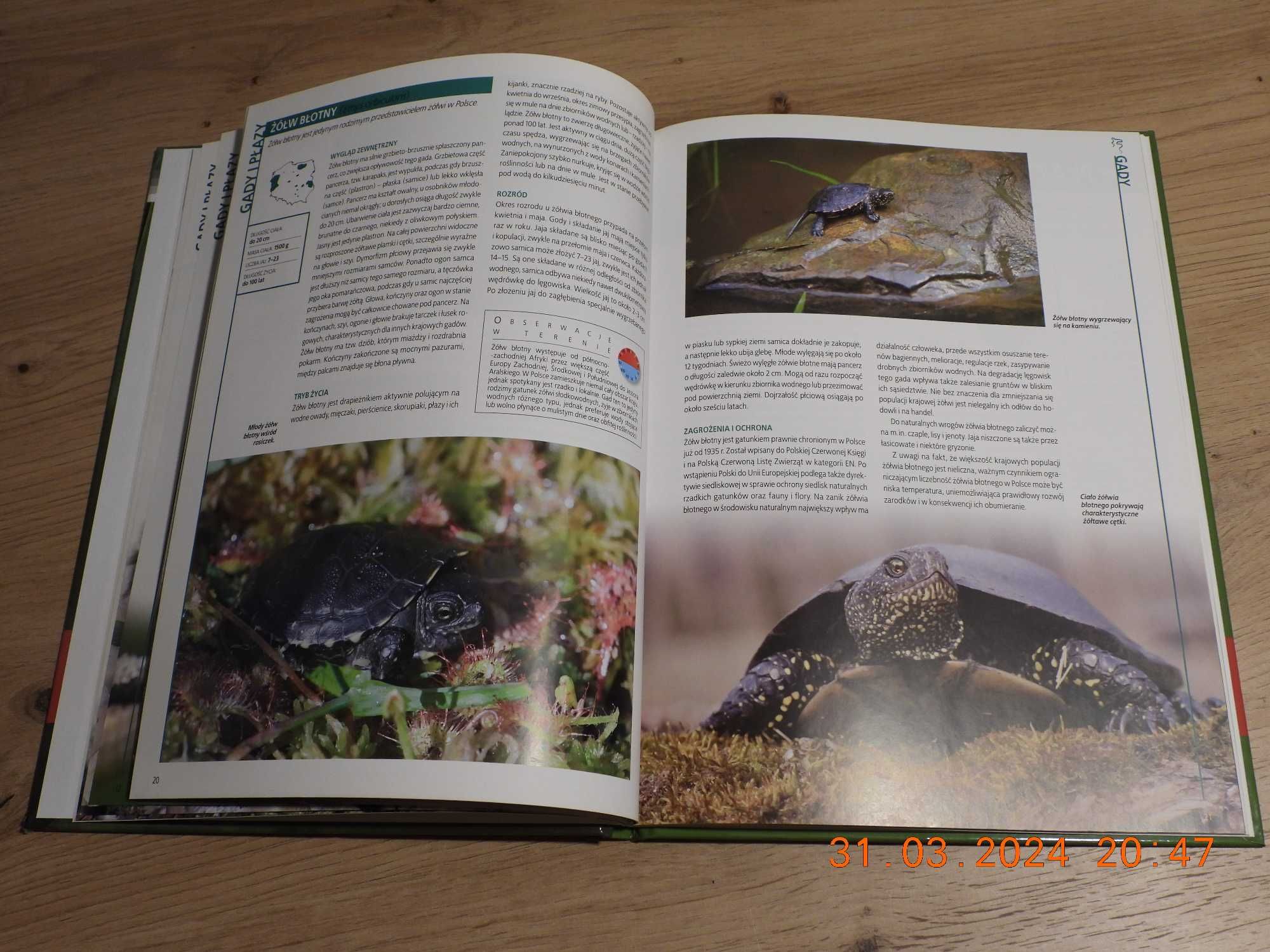 Encyklopedia Przyrody - Tom 4 Zwierzęta - Gady i Płazy