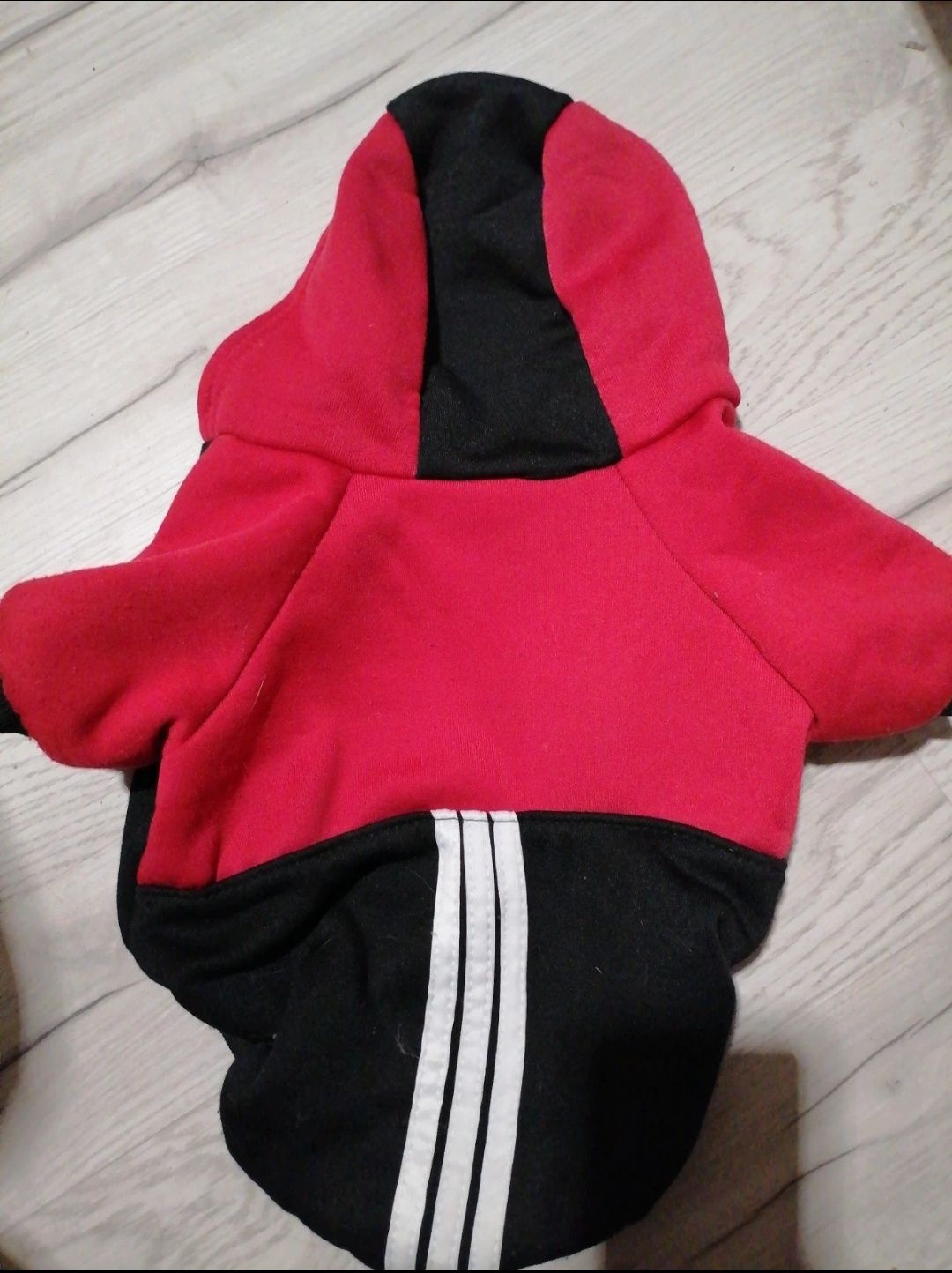 bluza dla małego psa r. s