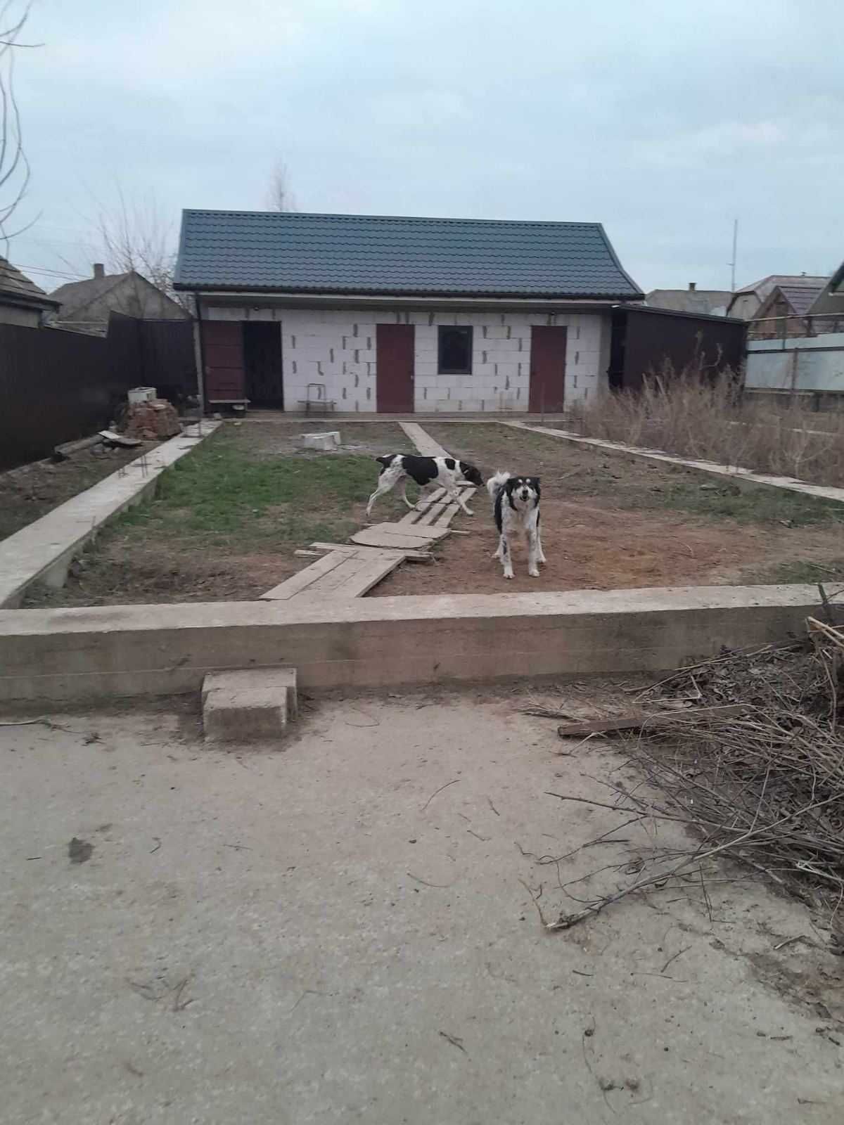 не завершене будівництво, з земельною ділянкою 5 соток