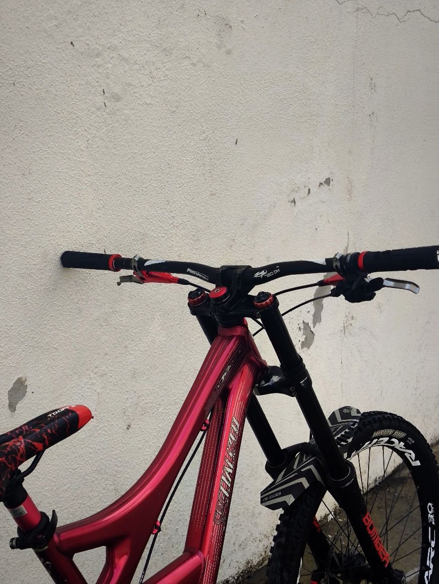 Specialized Demo 8